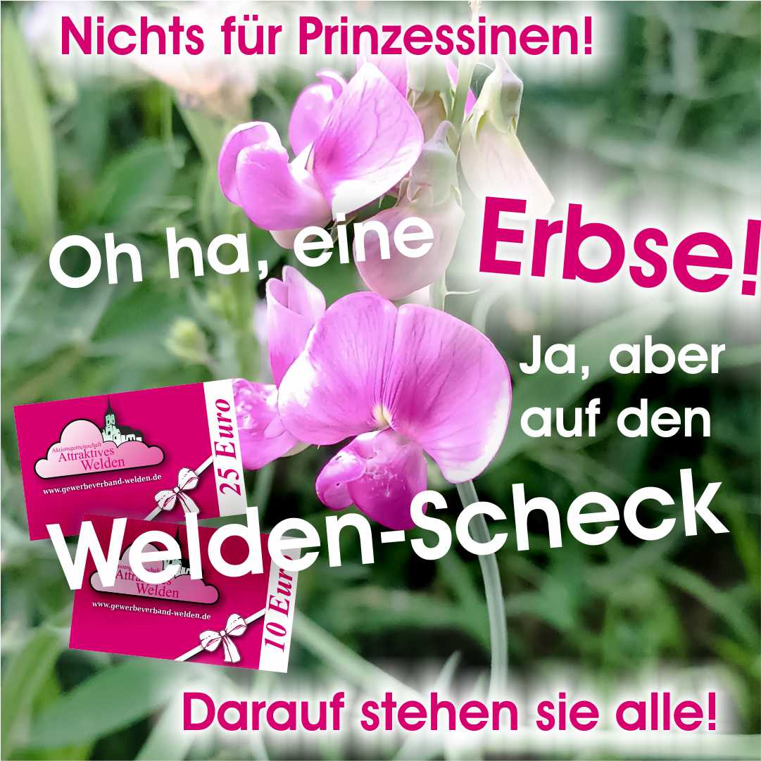 Nicht auf die Erbse, nein auf den Welden-Scheck steht die Prinzessin!